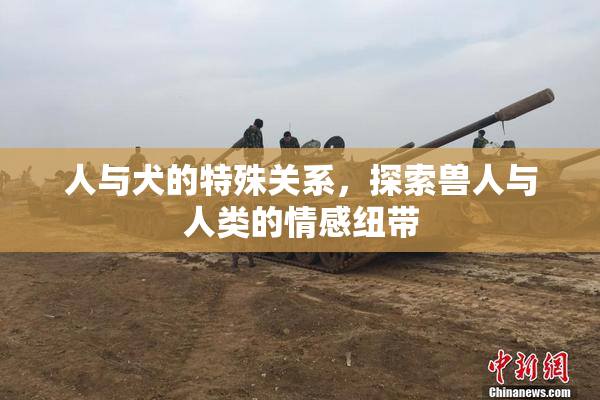 人与犬的特殊关系，探索兽人与人类的情感纽带