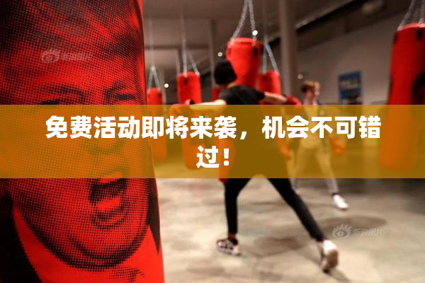 免费活动即将来袭，机会不可错过！