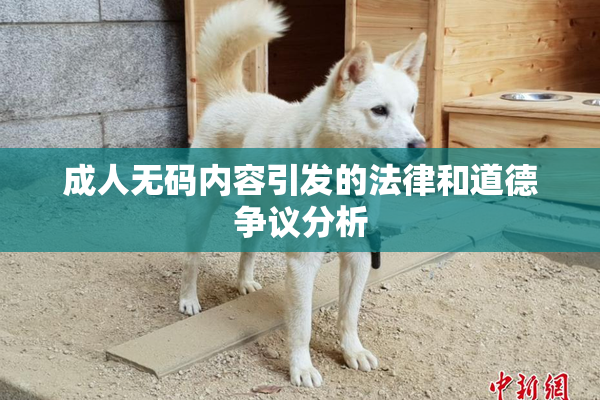 成人无码内容引发的法律和道德争议分析