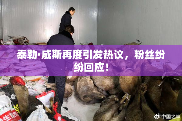 泰勒·威斯再度引发热议，粉丝纷纷回应！