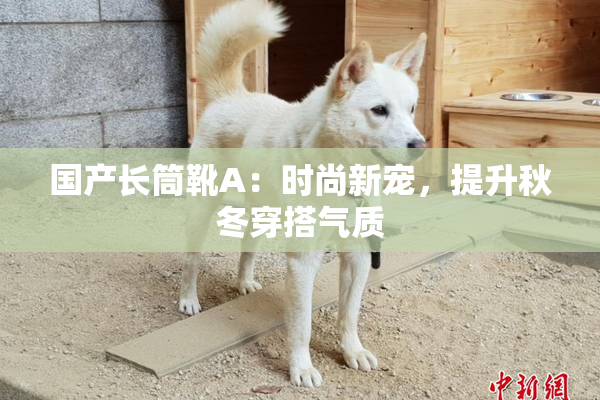 国产长筒靴A：时尚新宠，提升秋冬穿搭气质