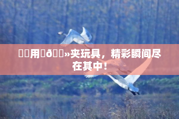 妺妺用‌🐻夹玩具，精彩瞬间尽在其中！
