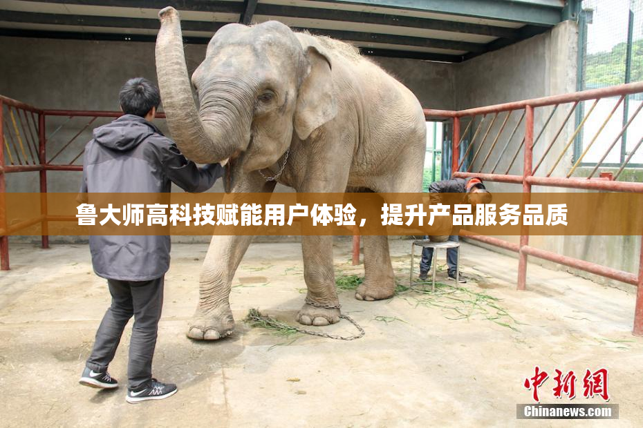 鲁大师高科技赋能用户体验，提升产品服务品质