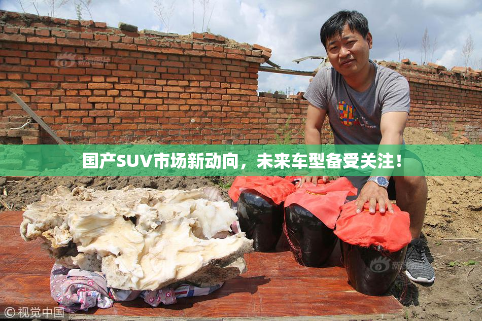 国产SUV市场新动向，未来车型备受关注！