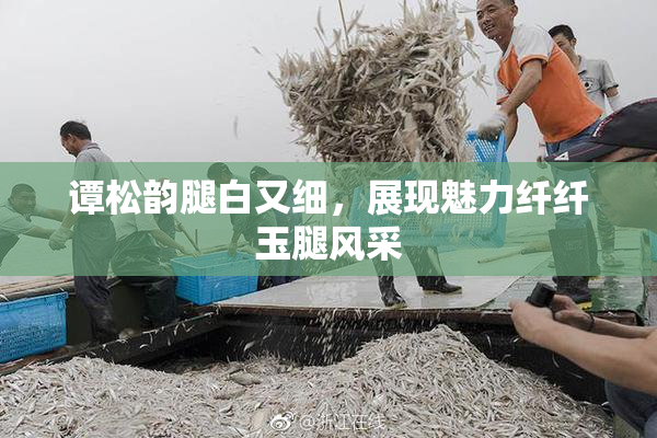 谭松韵腿白又细，展现魅力纤纤玉腿风采