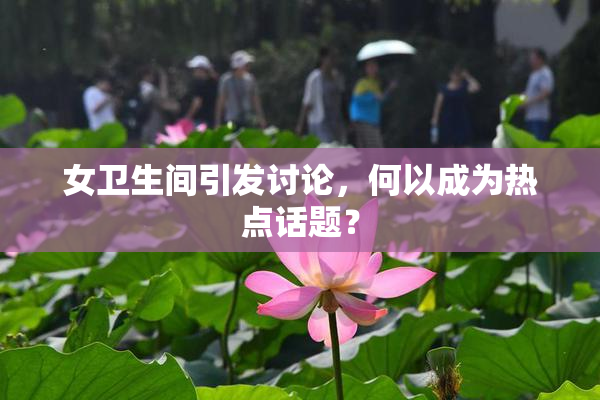 女卫生间引发讨论，何以成为热点话题？