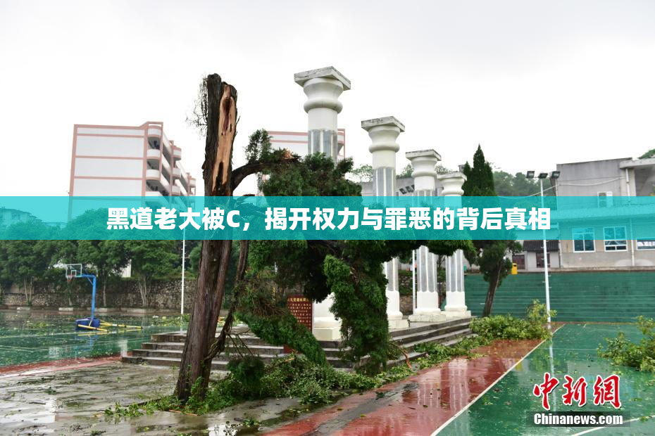 黑道老大被C，揭开权力与罪恶的背后真相