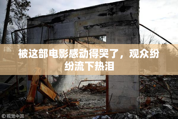 被这部电影感动得哭了，观众纷纷流下热泪