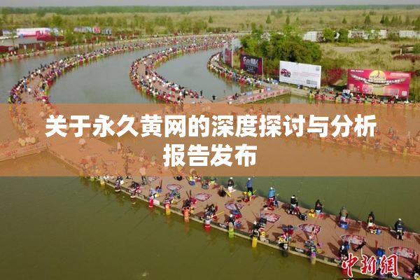 关于永久黄网的深度探讨与分析报告发布