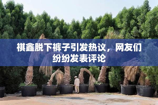 祺鑫脱下裤子引发热议，网友们纷纷发表评论