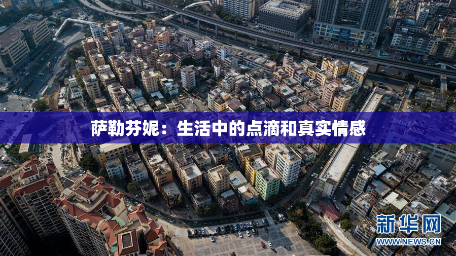 萨勒芬妮：生活中的点滴和真实情感
