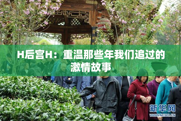 H后宫H：重温那些年我们追过的激情故事