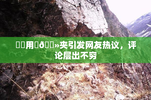 妺妺用‌🐻夹引发网友热议，评论层出不穷