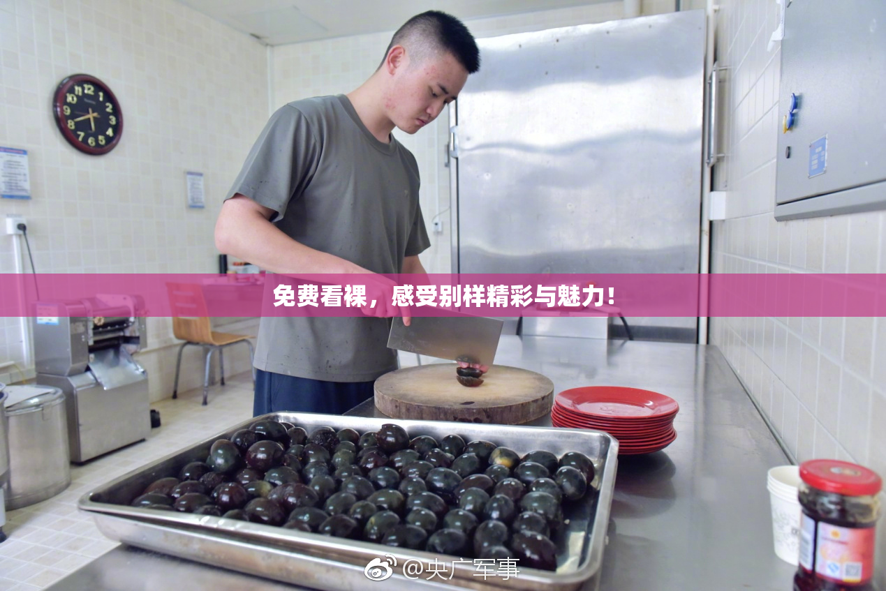 免费看裸，感受别样精彩与魅力！