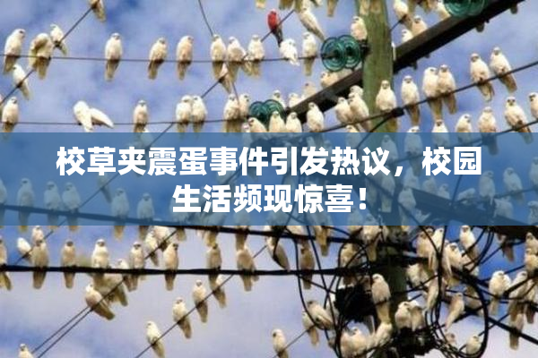 校草夹震蛋事件引发热议，校园生活频现惊喜！