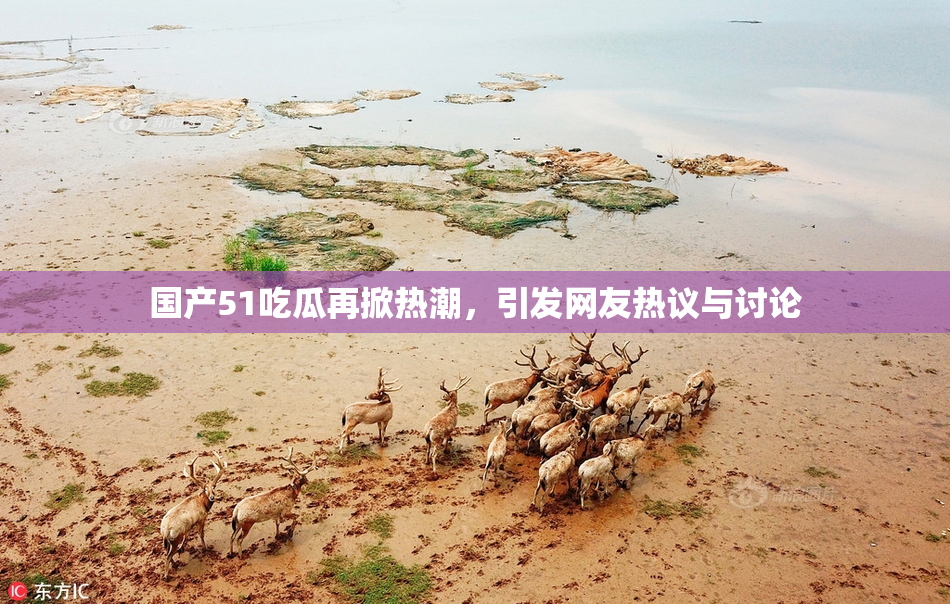 国产51吃瓜再掀热潮，引发网友热议与讨论