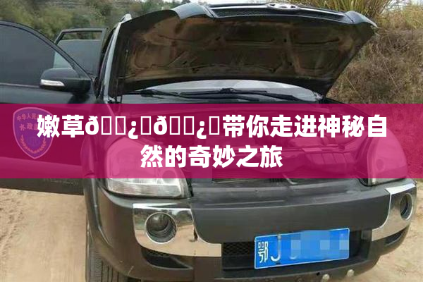 嫩草🌿‌🌿‌带你走进神秘自然的奇妙之旅