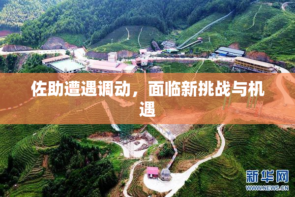 佐助遭遇调动，面临新挑战与机遇