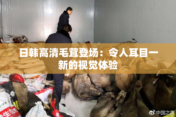 日韩高清毛茸登场：令人耳目一新的视觉体验