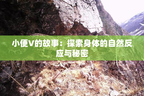 小便V的故事：探索身体的自然反应与秘密