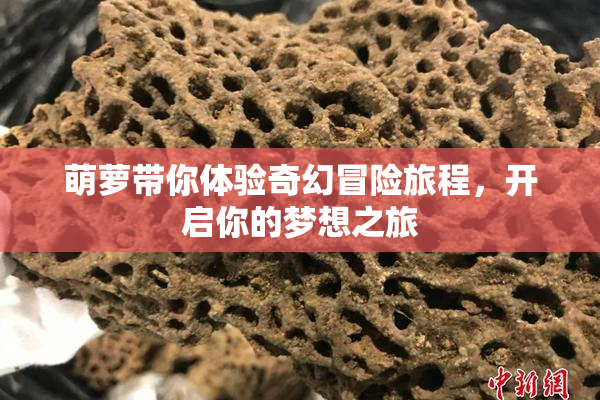 萌萝带你体验奇幻冒险旅程，开启你的梦想之旅