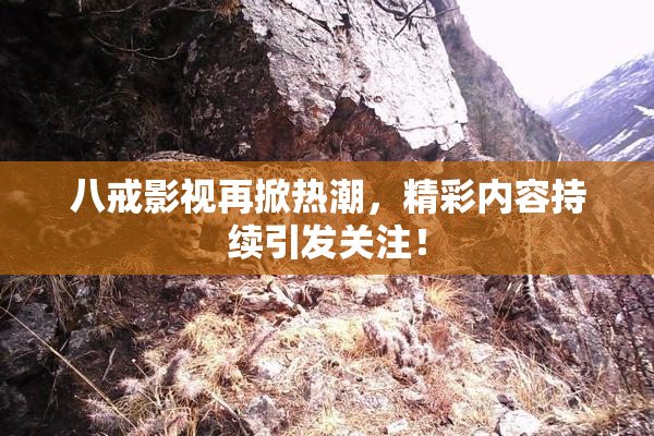 八戒影视再掀热潮，精彩内容持续引发关注！