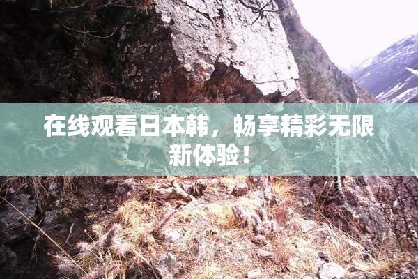 在线观看日本韩，畅享精彩无限新体验！
