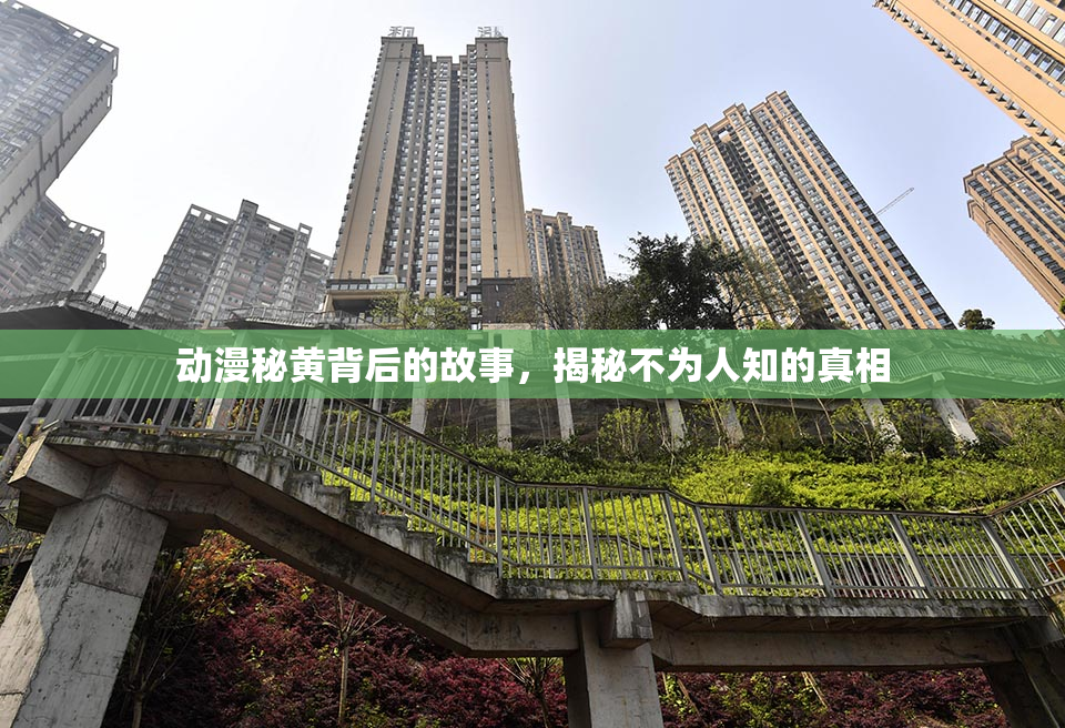 动漫秘黄背后的故事，揭秘不为人知的真相
