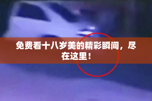 免费看十八岁美的精彩瞬间，尽在这里！