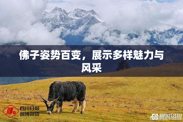 佛子姿势百变，展示多样魅力与风采