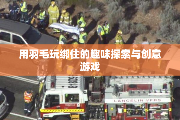 用羽毛玩绑住的趣味探索与创意游戏