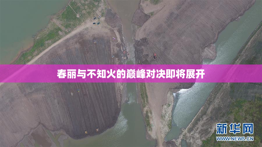 春丽与不知火的巅峰对决即将展开