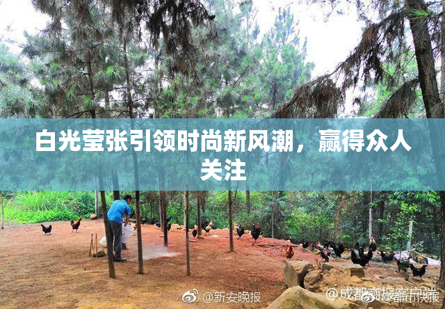 白光莹张引领时尚新风潮，赢得众人关注