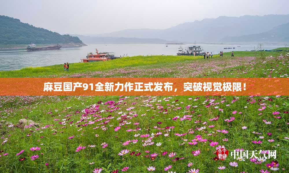 麻豆国产91全新力作正式发布，突破视觉极限！