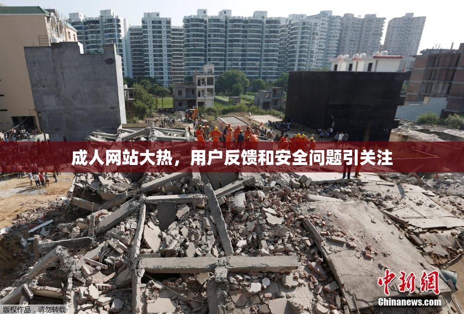 成人网站大热，用户反馈和安全问题引关注