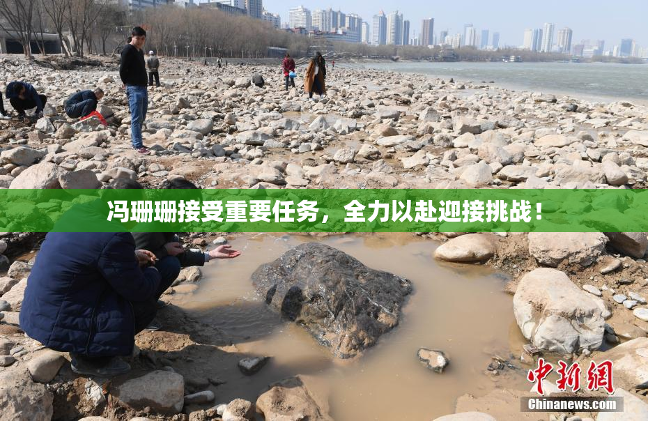 冯珊珊接受重要任务，全力以赴迎接挑战！