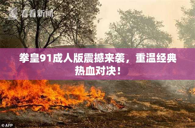拳皇91成人版震撼来袭，重温经典热血对决！