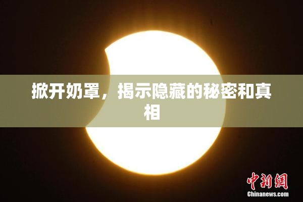 掀开奶罩，揭示隐藏的秘密和真相