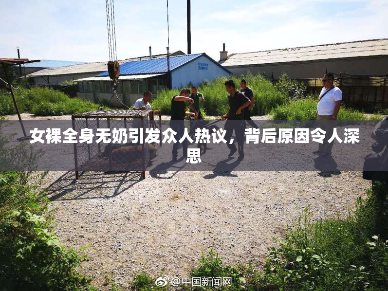 女裸全身无奶引发众人热议，背后原因令人深思