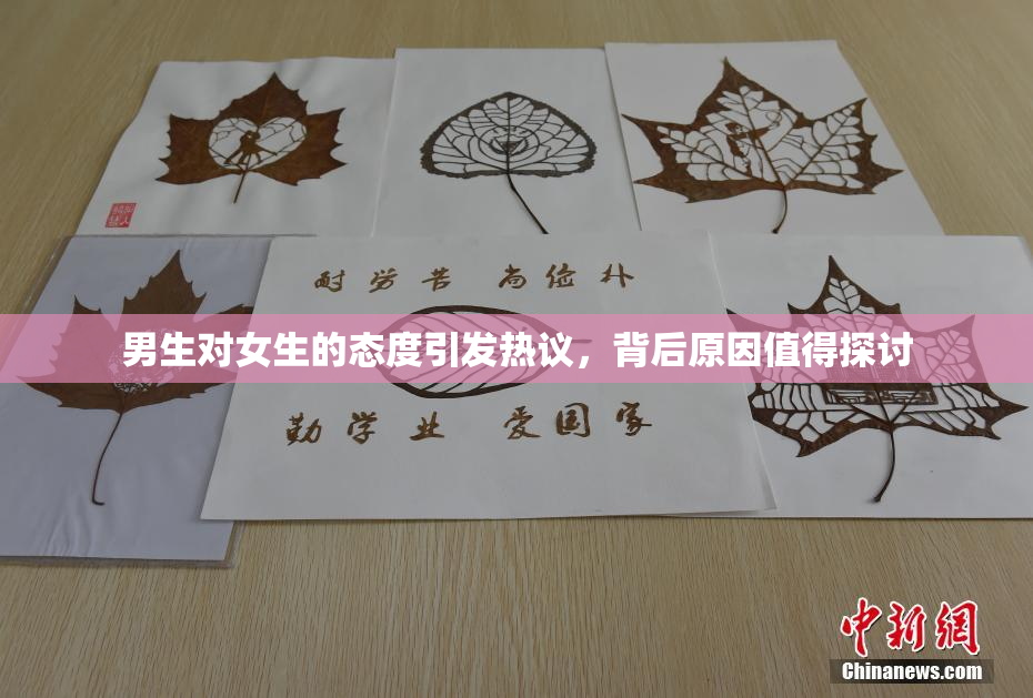 男生对女生的态度引发热议，背后原因值得探讨