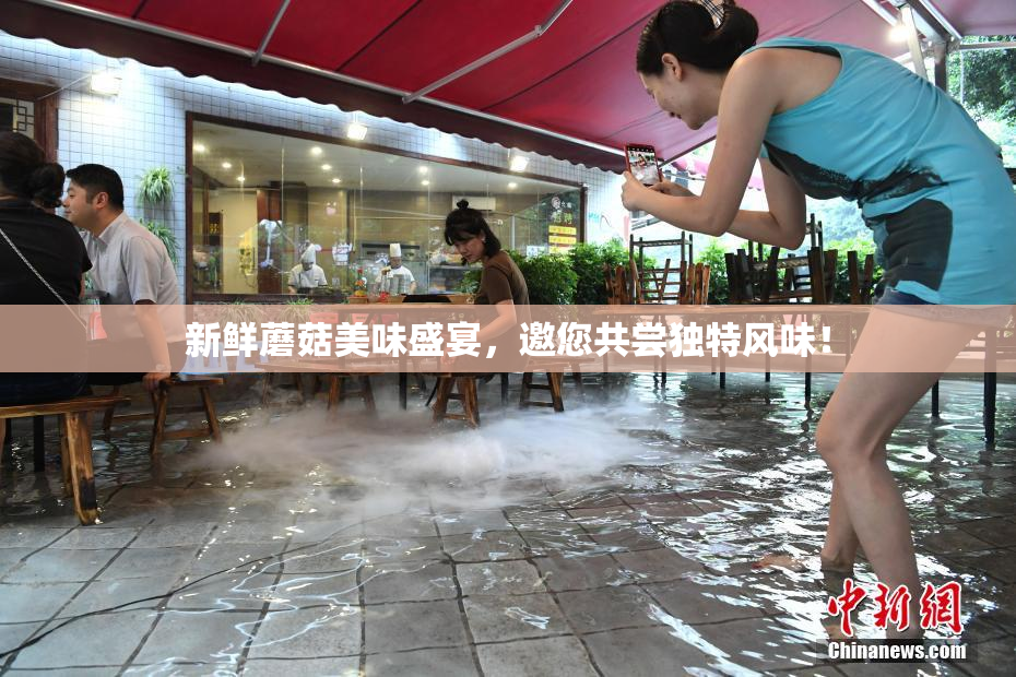 新鲜蘑菇美味盛宴，邀您共尝独特风味！