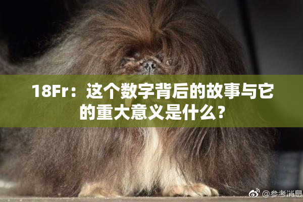 18Fr：这个数字背后的故事与它的重大意义是什么？