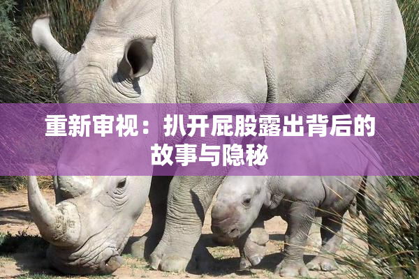 重新审视：扒开屁股露出背后的故事与隐秘