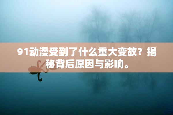 91动漫受到了什么重大变故？揭秘背后原因与影响。