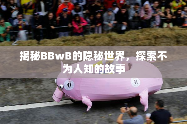 揭秘BBwB的隐秘世界，探索不为人知的故事