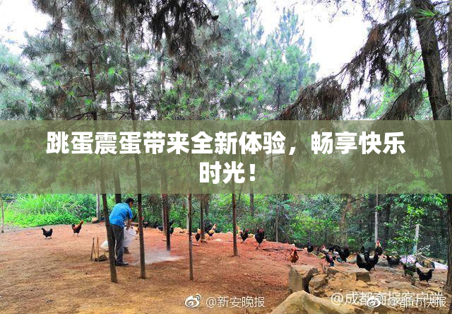 跳蛋震蛋带来全新体验，畅享快乐时光！