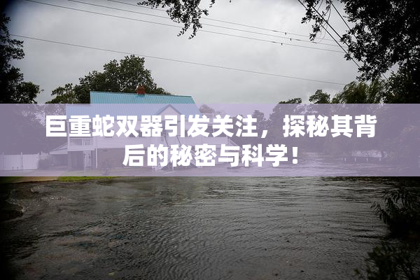 巨重蛇双器引发关注，探秘其背后的秘密与科学！