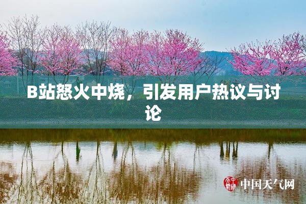 B站怒火中烧，引发用户热议与讨论