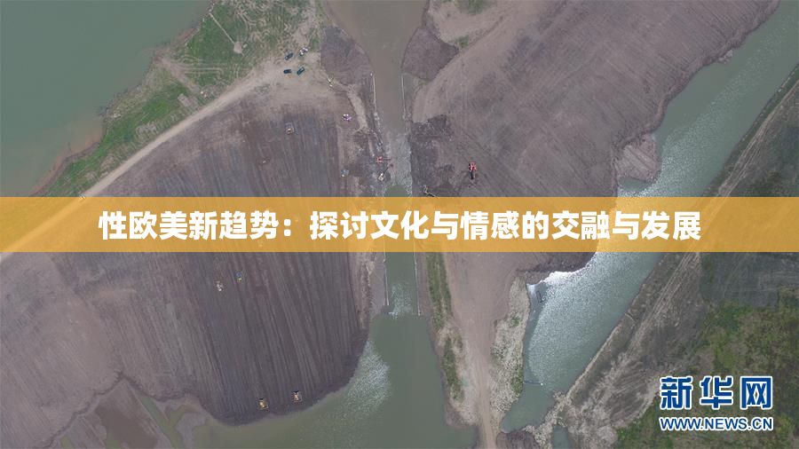 性欧美新趋势：探讨文化与情感的交融与发展