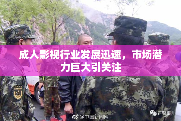 成人影视行业发展迅速，市场潜力巨大引关注